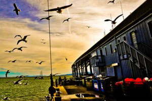 在线呼死你轰炸